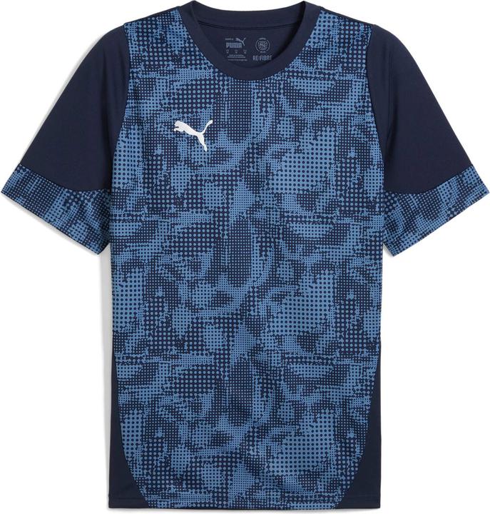 Puma teamCUP Training Jersey