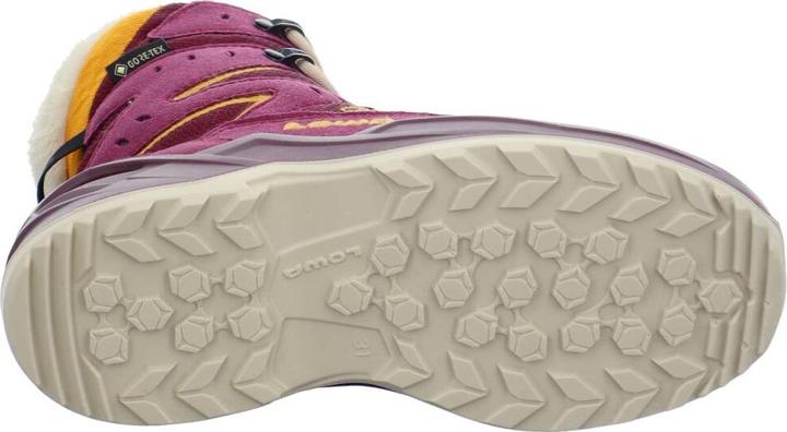 Image du produit Lowa Lino GTX (31)