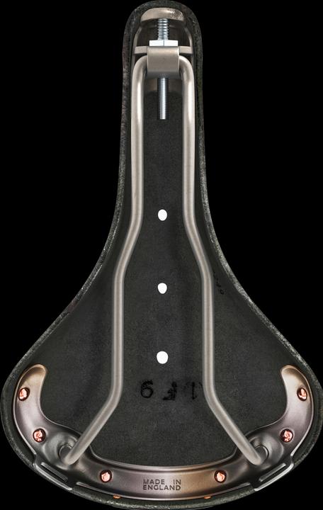 Actual product image Brooks England B17 Titanium Select saddle
