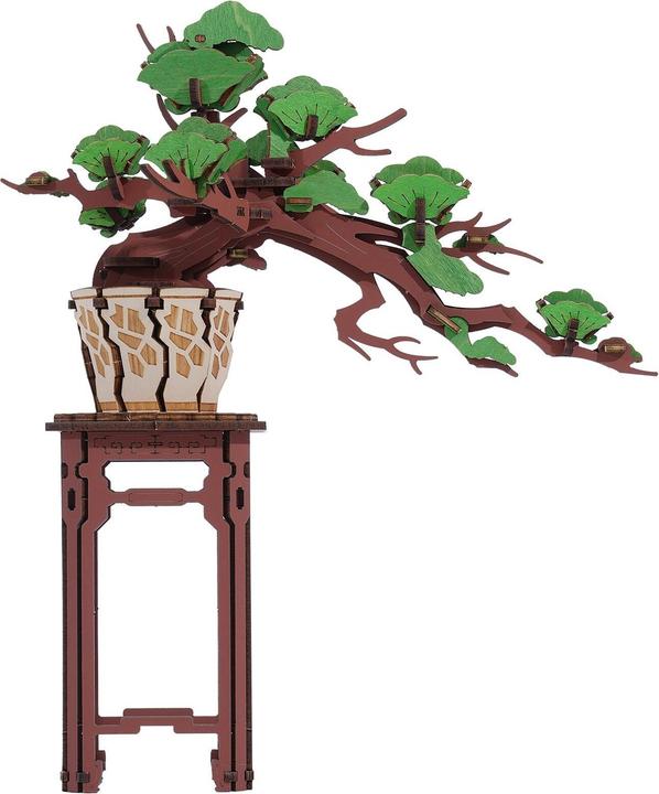 Produktbild Rolife Immergrüne Kiefer Bonsai (115 Teile)