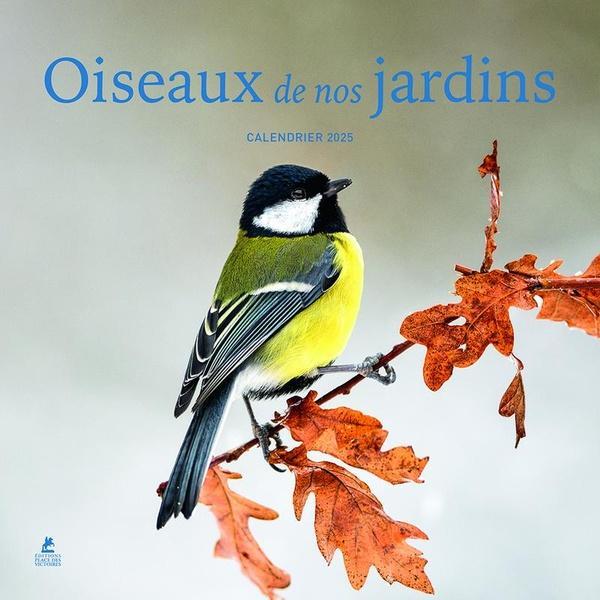 Produktbild Oiseaux de nos jardins : calendrier 2025 (Harter Einband, Französisch)