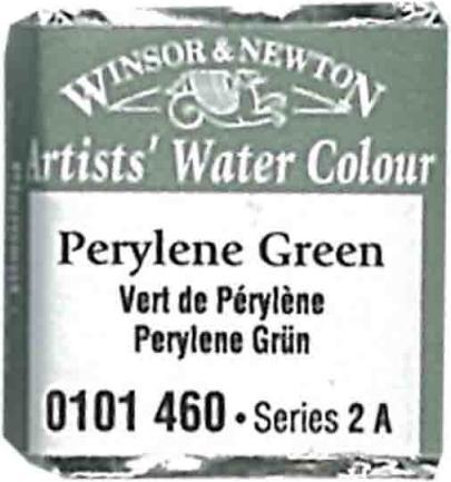 Actual product image Winsor & Newton Watercolour Artists (Perylene green)