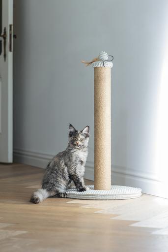 Actual product image Designed by Lotte Scratching post (70 cm, Light grey)