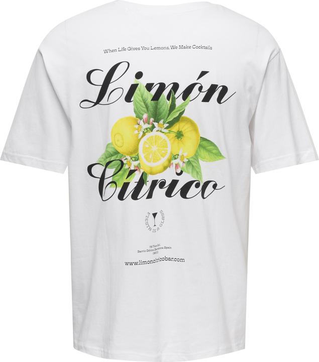 Immagine prodotto Only & Sons Onskeane Rlx Ss Print Tee Noos (XS)