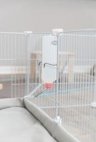 Produktbild Trixie Boden für Indoor Freilaufgehege