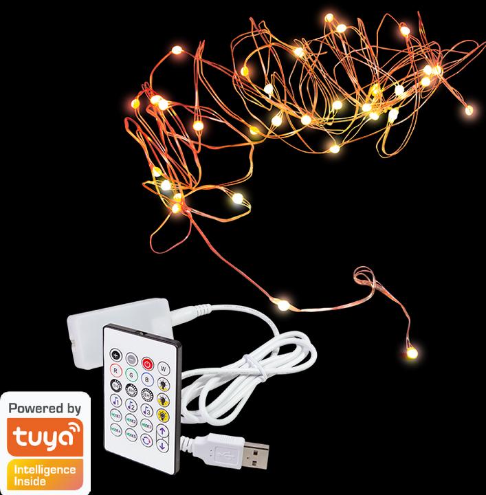 Actual product image LogiLink Wi-Fi Smart RGB light chain with remote control, Tuya compatible, 5 m (5 m)