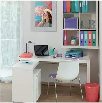 Actual product image Esselte Ring binder (A4, 25 mm, 1 Piece)