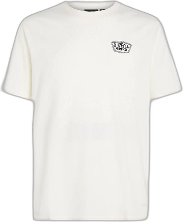 O'Neill t-shirt sall chest print