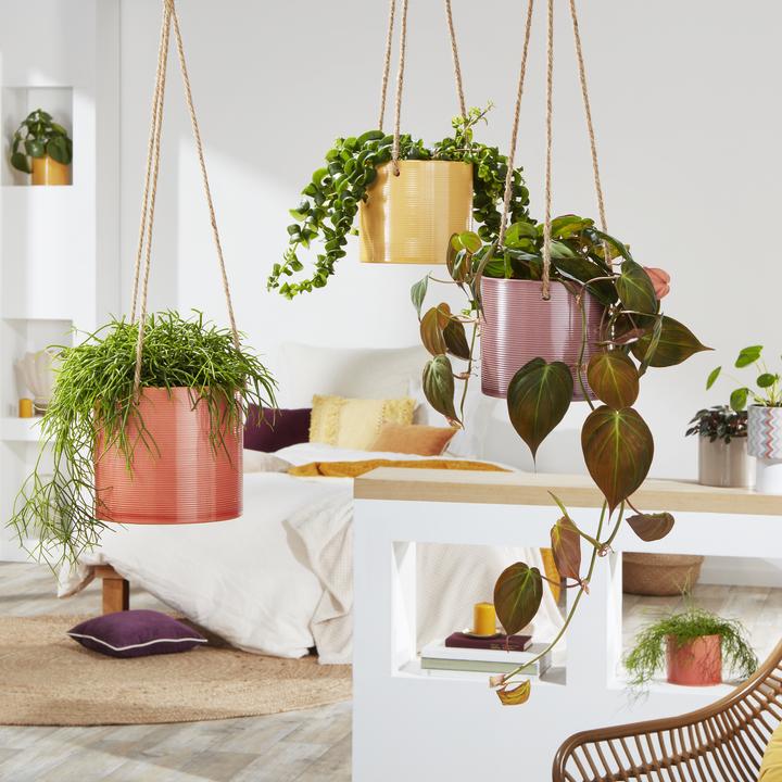 Image du produit Scheurich Pot de fleurs suspendu 15 cm, aubergine (16 cm)