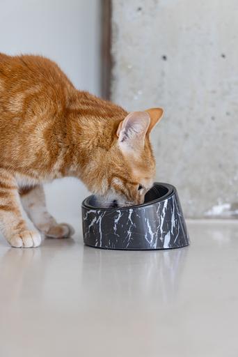 Actual product image Designed by Lotte Melamine Bowl Cat Vita