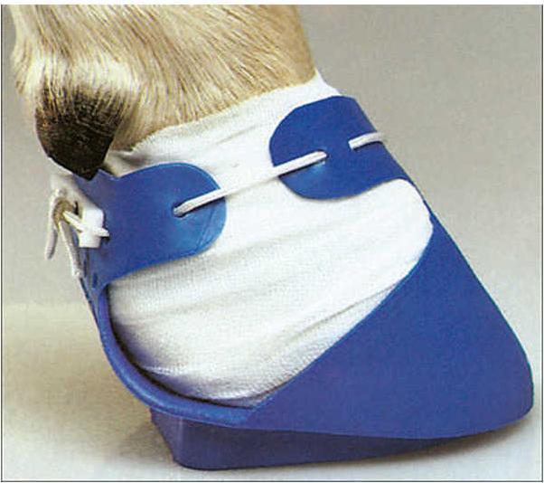 Produktbild Magni Kerbl Shoof-Rindersch. gross, beids. Fb. blau, bis 125mm