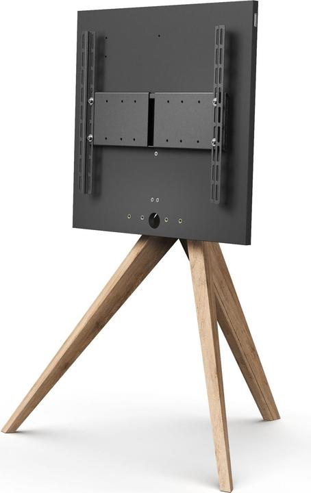 Immagine prodotto Spectral Tipo AX30-RON (Universale, 65", 40 kg)