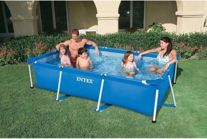 Actual product image Intex Family Frame (260 x 160 x 65 cm)