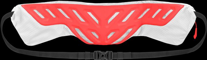 Image du produit Salewa Pedroc Hipbelt