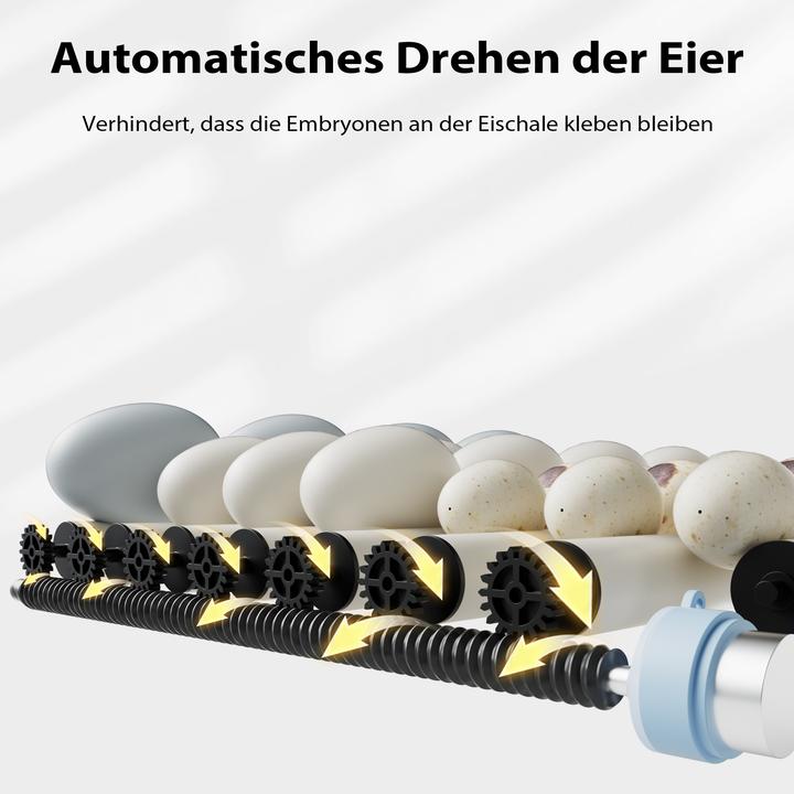 Produktbild Fudajo Vollautomatischer Flächenbrüter Brutmaschine 30 Eier Inkubator Hühner