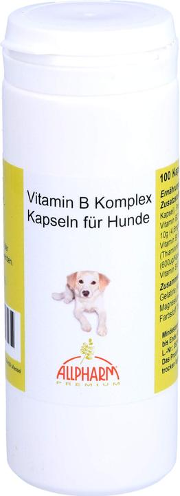 Produktbild Allpharm Vitamin B Komplex für Hunde, 100 St KAP (Hund)