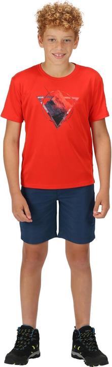 Actual product image Regatta Sorcer Ii Shorts (146)