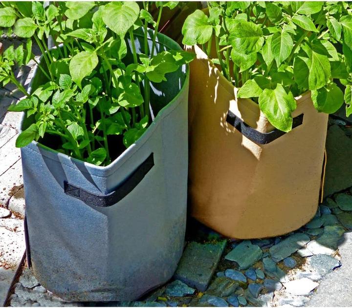 Immagine prodotto Nature Tristan (33 cm)