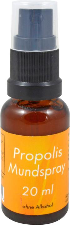 Actual product image Allcura Propolis mouth spray, 20 ml solution (20 ml, Mouth spray)