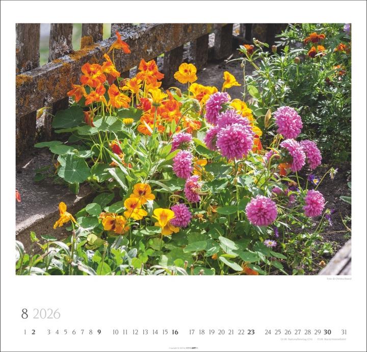 Produktbild Bauerngärten Kalender 2026 (48 x 46 cm, Englisch, Deutsch)