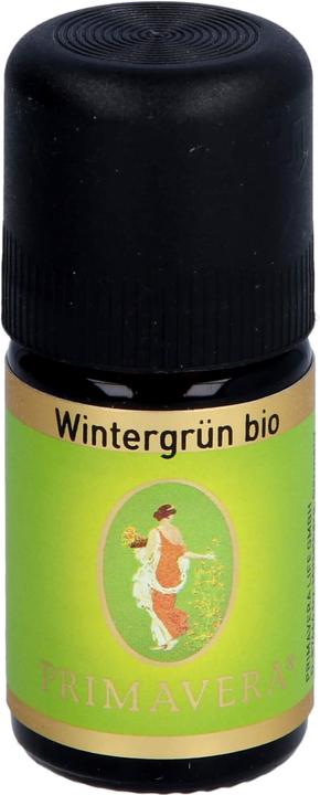 Produktbild Primavera Wintergrün bio 100% naturreine Duftmischung, 5 ml ätherisches Öl