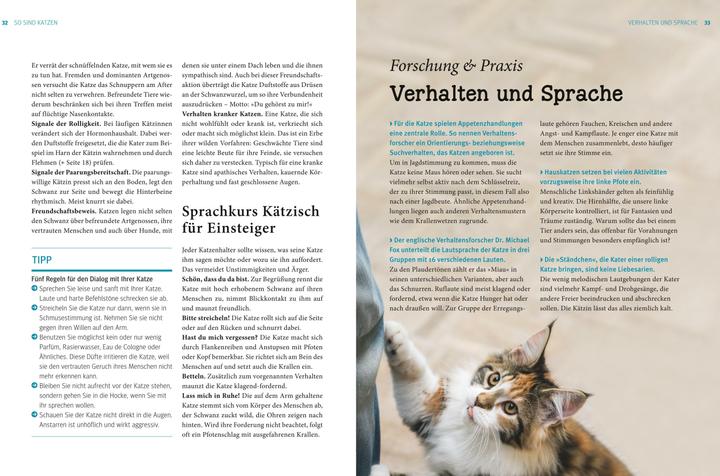 Produktbild Katzen (Deutsch, Gerd Ludwig, 2013)