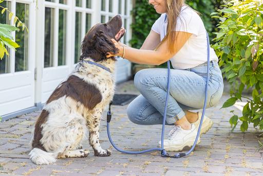 Actual product image Beeztees Parinca training leash (Dog, Dog sport)