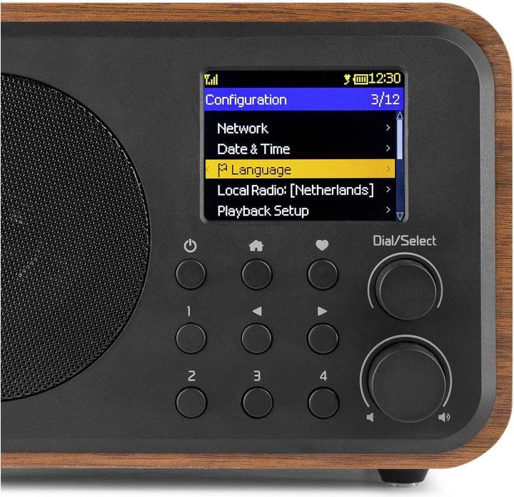 Produktbild Audizio Vicenza (Internetradio, DAB+, FM, Bluetooth, WLAN)