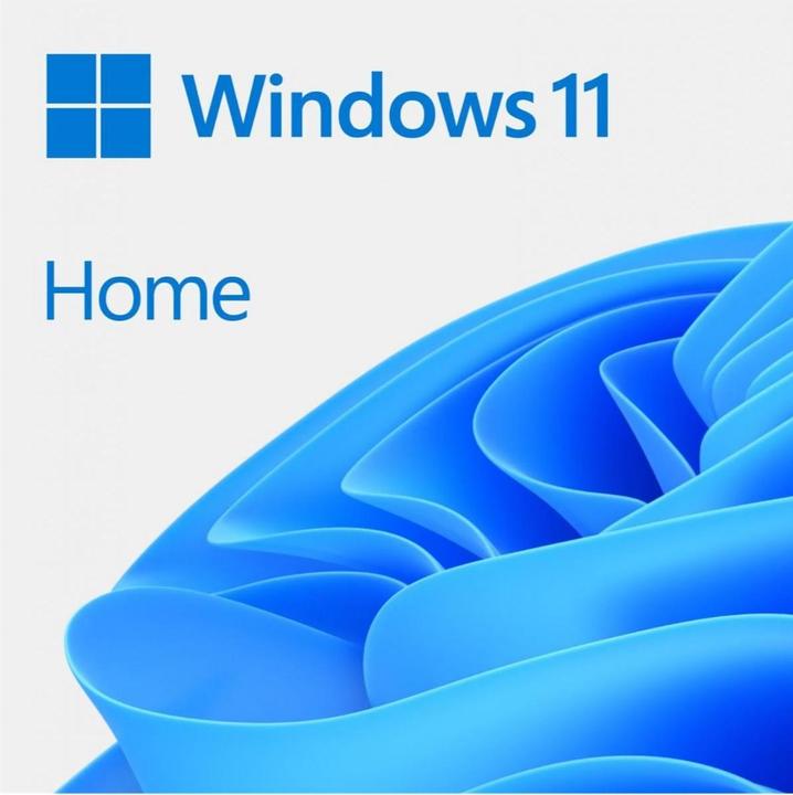 Microsoft Windows 11 Home (ENG) (1 Utilisateur, Illimité)