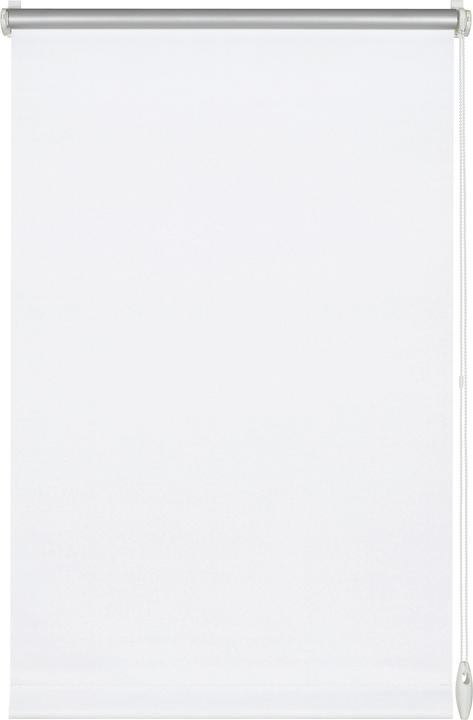 244 Weiss