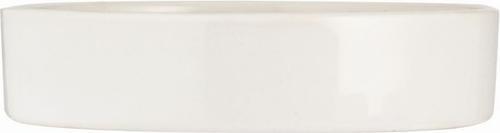 Actual product image Mason Cash Cat food bowl abstract