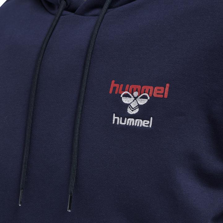 Actual product image hummel Ic Dayton Hoodie (L)