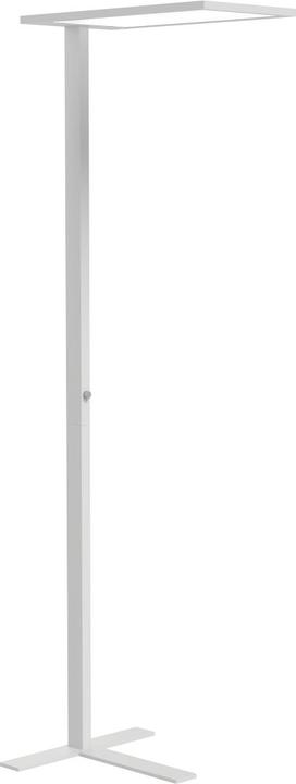 ofinto Lumino (10000 lm)