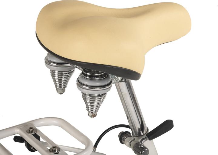Immagine prodotto Bicicletta da donna 28" a palloncino (48 cm)