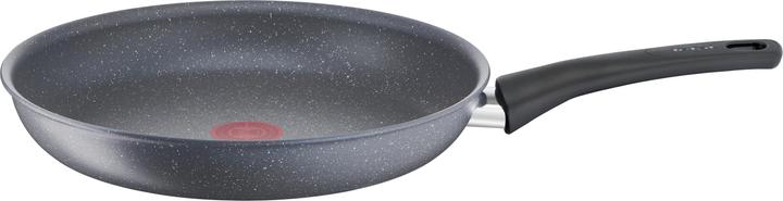 Productafbeelding Tefal TEF Pan 20cm (20 cm, Kookpotten en pannenset, Aluminium)