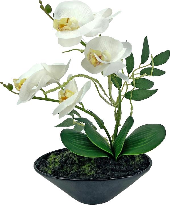NTK-Collection Kunstblume Orchidee in Schale (28 cm)