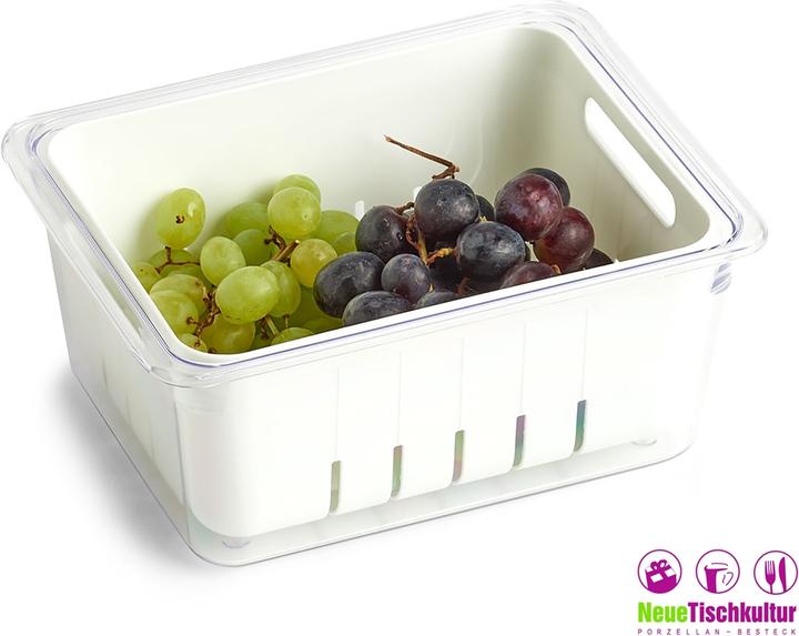 Actual product image neuetischkultur Fridge box (22.5 x 17.5 x 10 cm)
