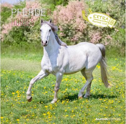Productafbeelding Alpha Edition Paarden 2025 brochure kalender, 30x30cm, wandkalender met ruimte voor notities en (30 x 30 cm, Hardcover, Duits)