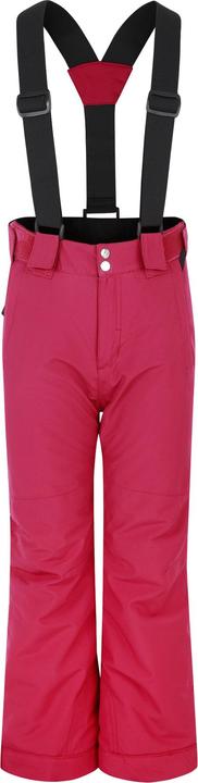 Actual product image Dare2b Childrens/Kids Outmove II Ski Trousers (170)
