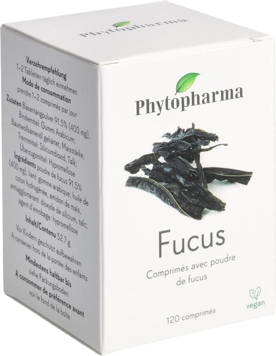 Produktbild Phytopharma Blasentang Kapseln (120 Stück, Kapseln, 0.38 g)