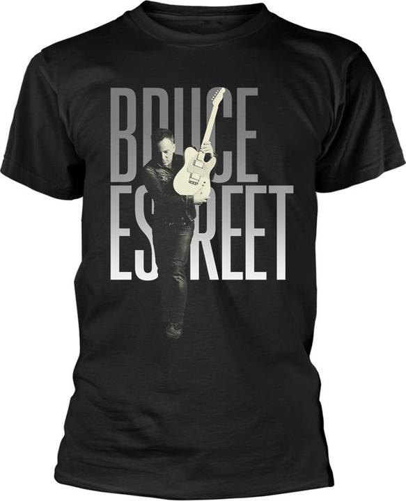 Bruce Springsteen E Street (S)