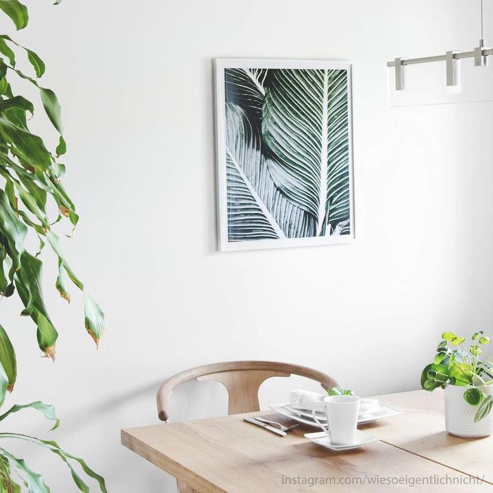 Image du produit Trenddeko Feuilles de palmier (60 x 80 cm)