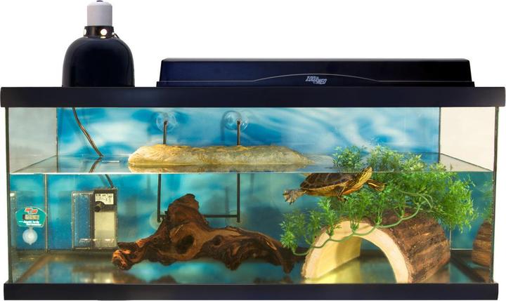 Actual product image Zoo Med Thermo and hygrometer