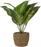 IKO Green plant (30 cm)