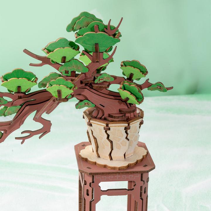 Produktbild Rolife Immergrüne Kiefer Bonsai (115 Teile)