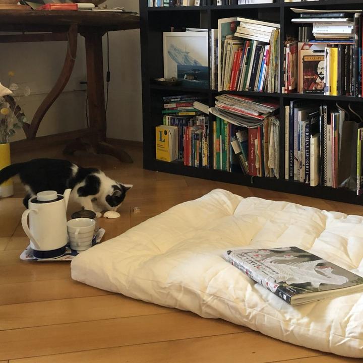 Produktbild Europe & Nature Futon In A Bag (70 x 190 cm, Naturkern)