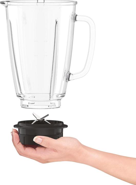 Actual product image Tefal BL4358 (800 W)