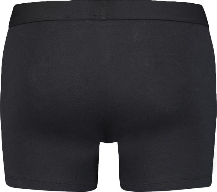 Produktbild Levis Basic BoxerBrief (S, 2er Pack)