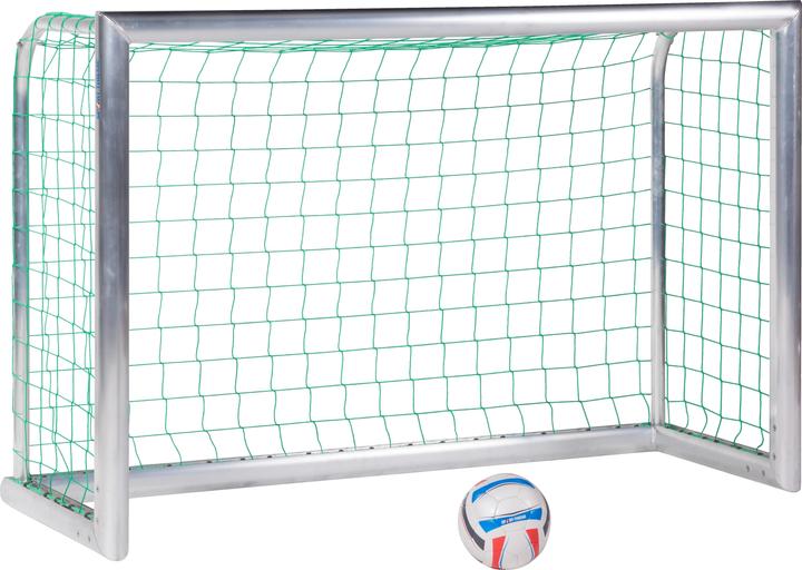 Sport-Thieme Mini-Trainingstor Professional Kompakt, Alu-Naturblank