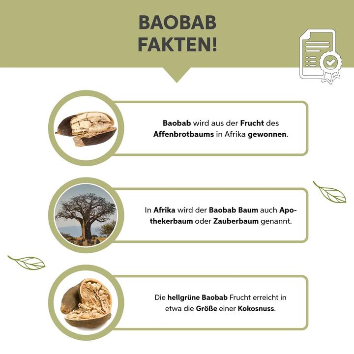 Produktbild Eltabia Bio Baobab-Pulver | Affenbrotbaum gemahlen | Apothekerbaum in Rohkost Qualität (Pulver, 100 g)